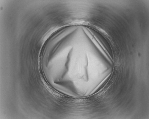 X0000055521423200509091356