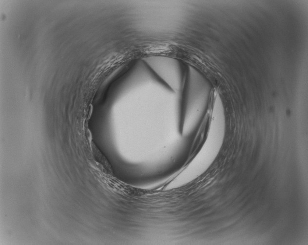 X0000055521441200509091355