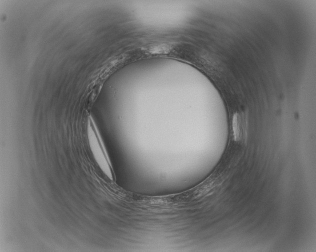 X0000055521443200509091355