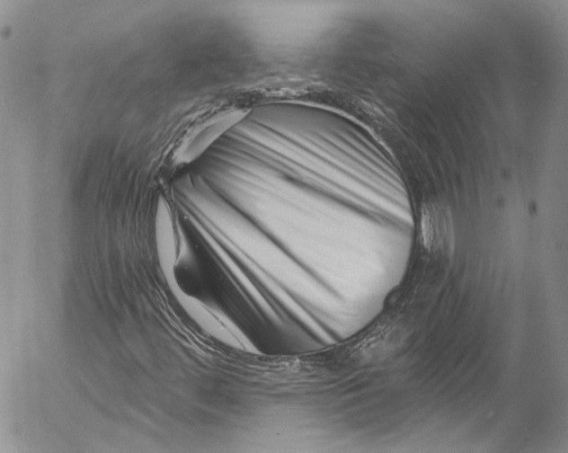 X0000055521444200509091355