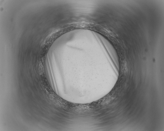 X0000055521446200509091355