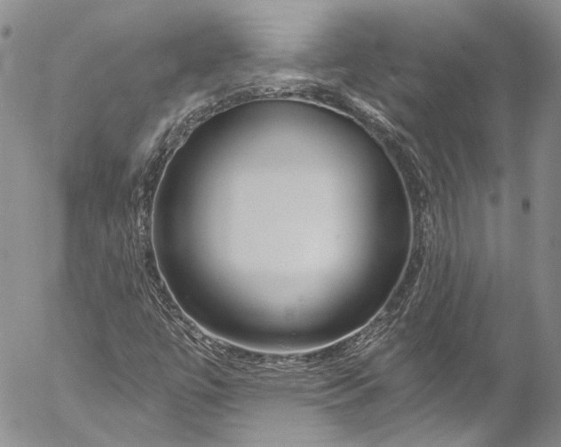 X0000055521447200509091355