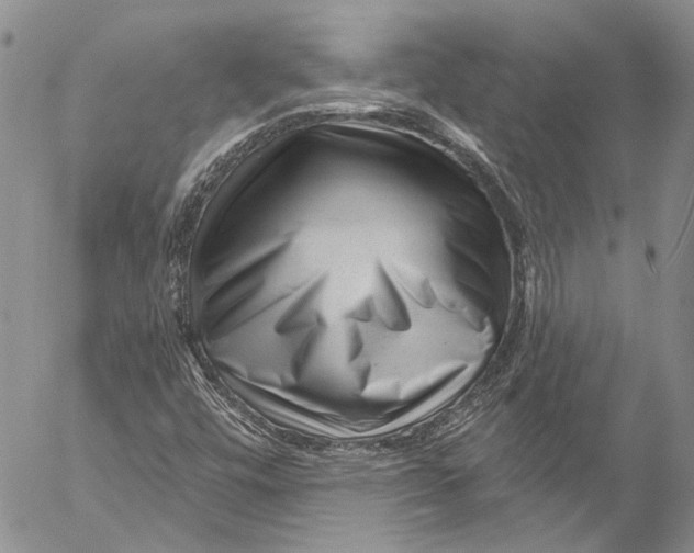 X0000055521448200509091355