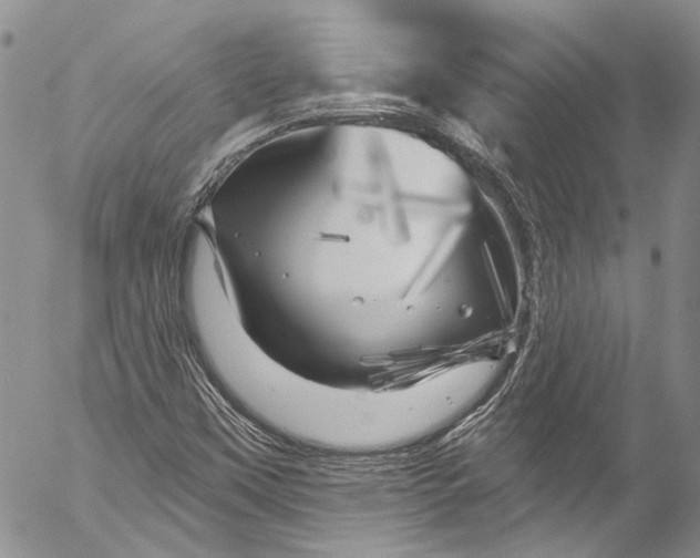 X0000055521451200509091355