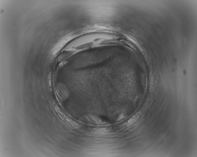 X0000055521455200509091355