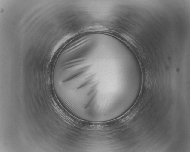 X0000055521458200509091355