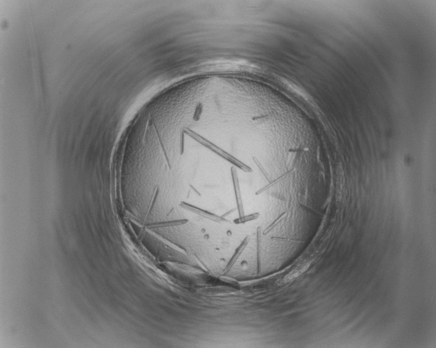 X0000055521467200509091355