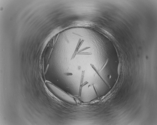 X0000055521471200509091355