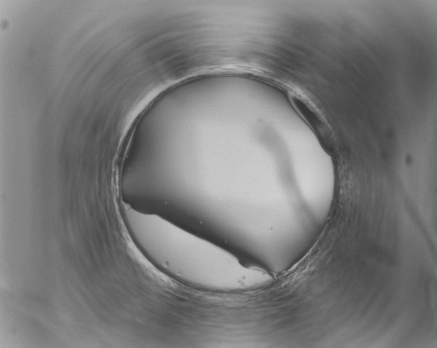 X0000055521476200509091355