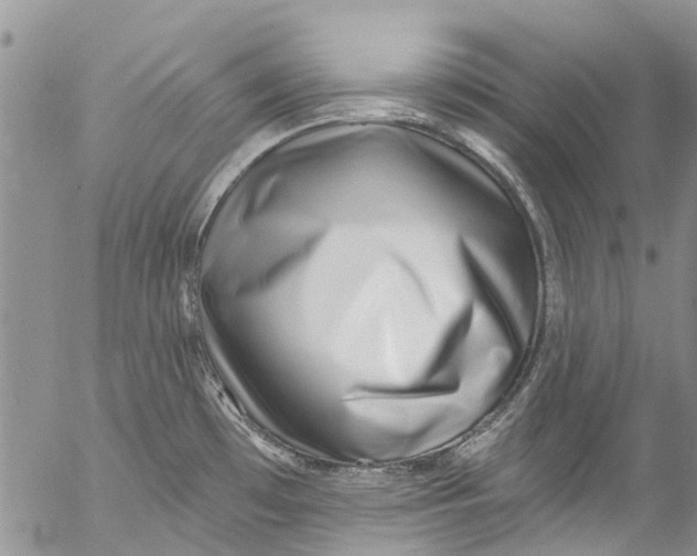 X0000055521481200509091355