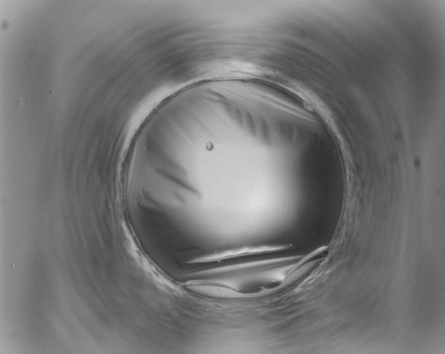 X0000055521488200509091355