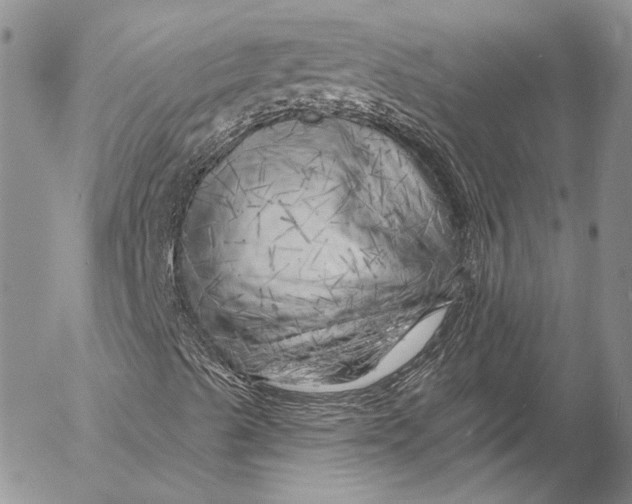 X0000055521489200509091354