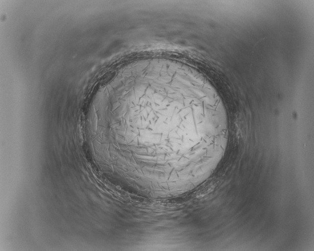X0000055521493200509091354