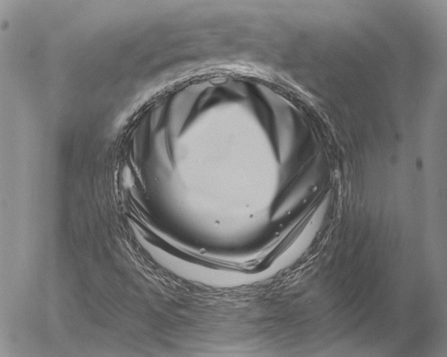 X0000055521496200509091354