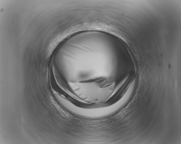 X0000055521507200509091354