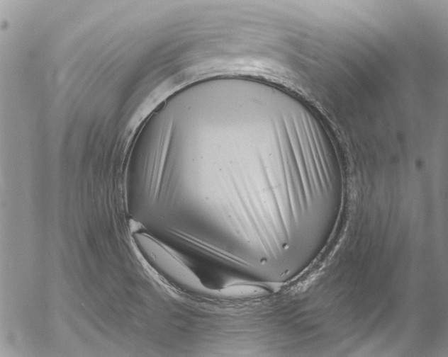 X0000055521521200509091354
