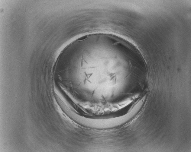 X0000055521534200509091355