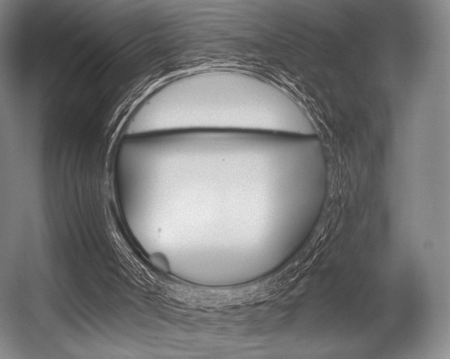 X0000055970002200508190715