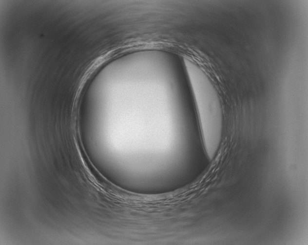 X0000055970003200508190715