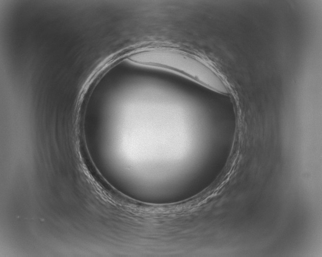 X0000055970007200508190715