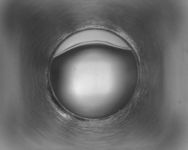 X0000055970009200508190715