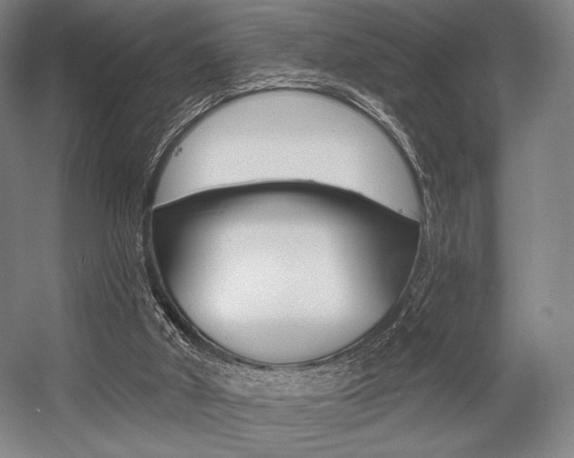X0000055970010200508190715