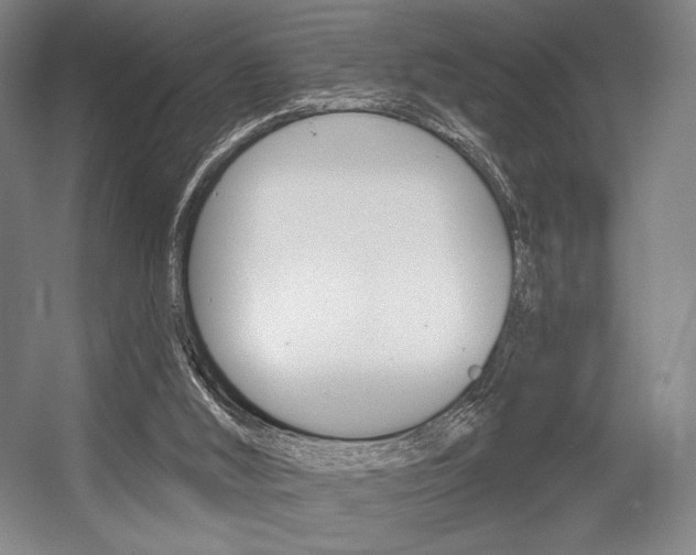 X0000055970012200508190715