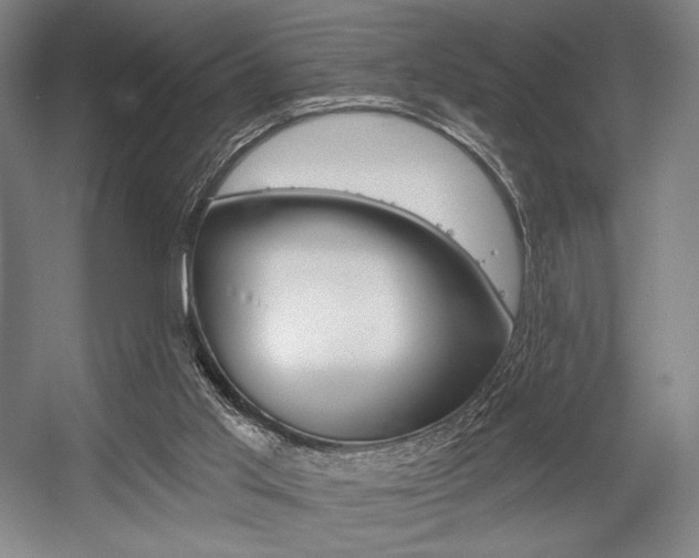 X0000055970013200508190715