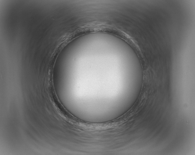 X0000055970018200508190715
