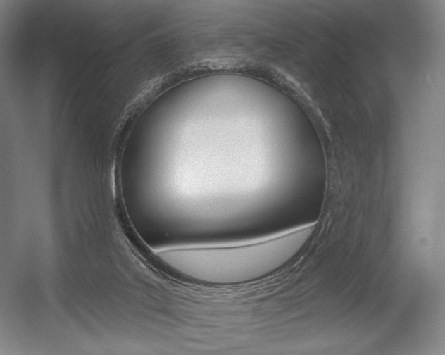 X0000055970019200508190715