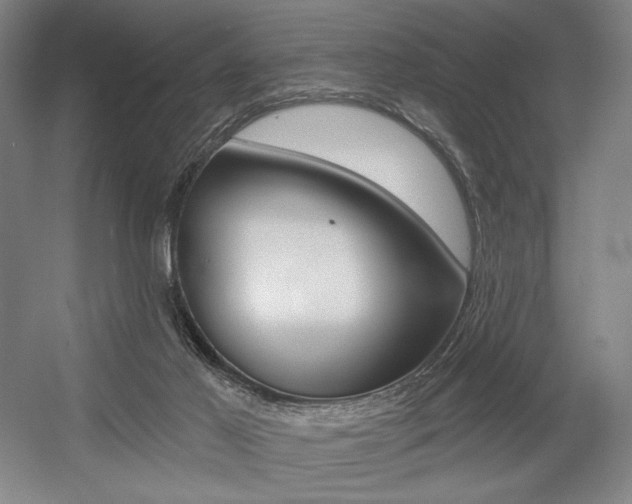 X0000055970021200508190715