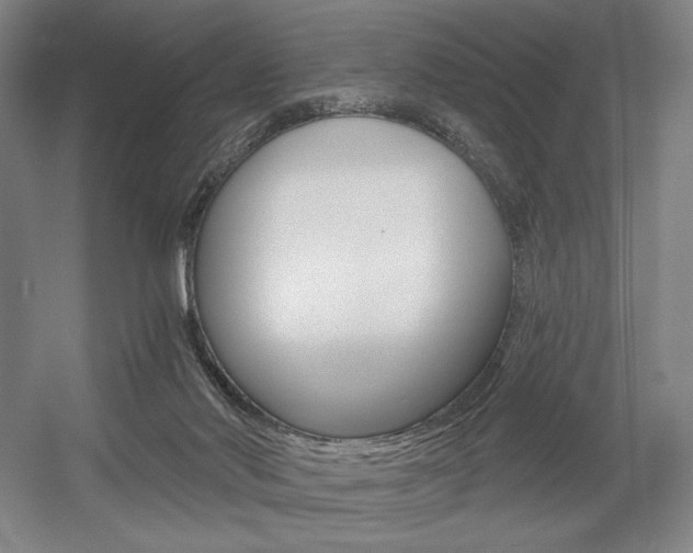 X0000055970022200508190715