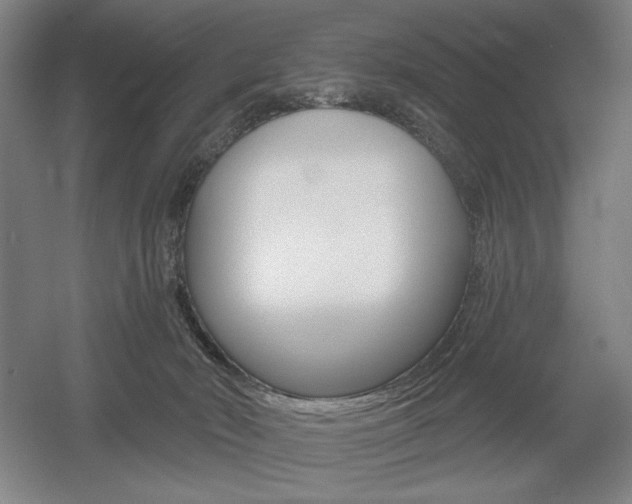 X0000055970030200508190715