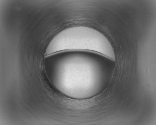 X0000055970031200508190715