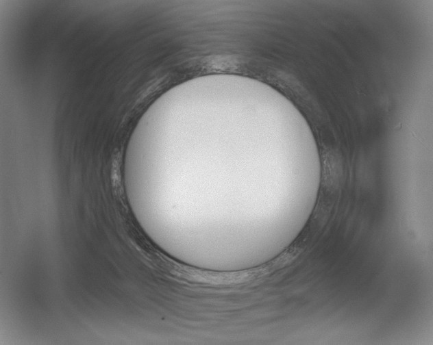 X0000055970032200508190715