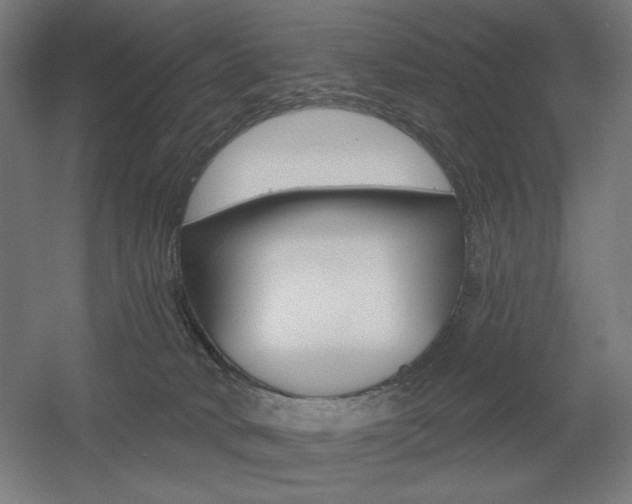 X0000055970034200508190715