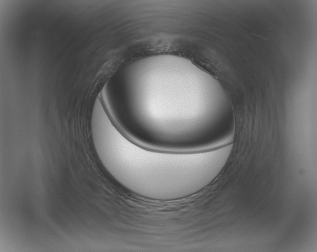 X0000055970035200508190715