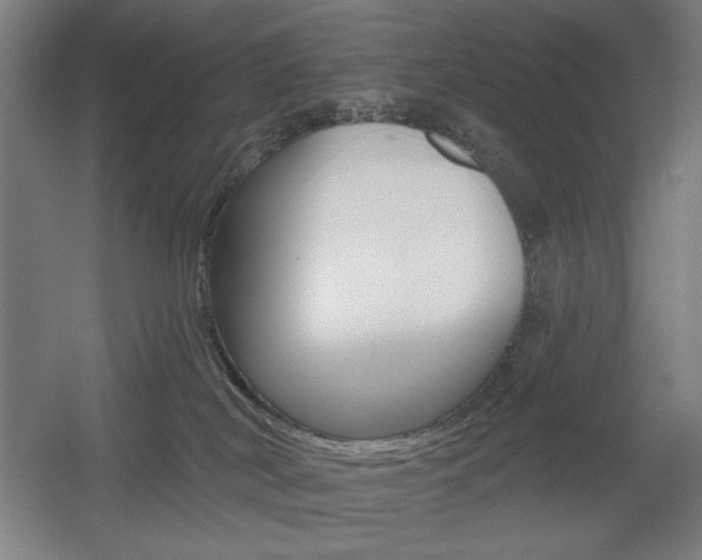 X0000055970038200508190715