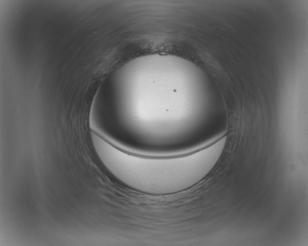 X0000055970039200508190715