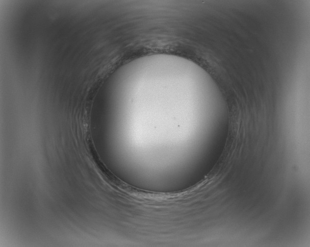 X0000055970040200508190715