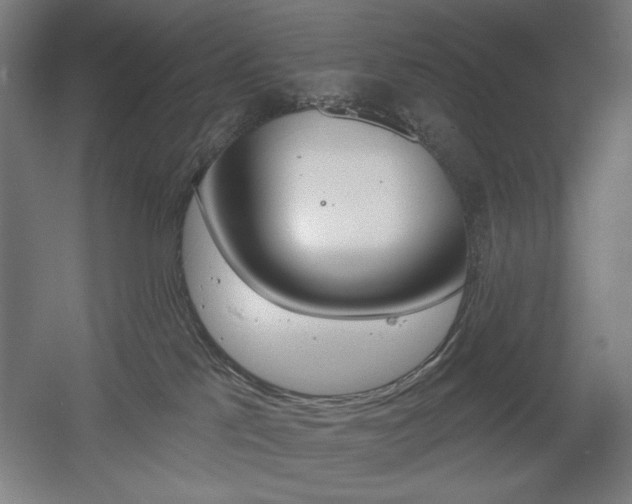 X0000055970041200508190715