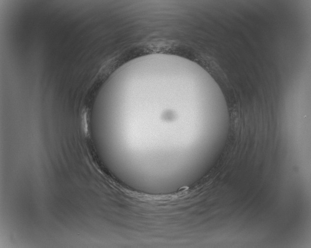 X0000055970042200508190715