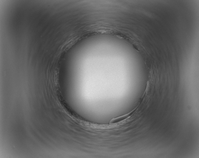 X0000055970043200508190715