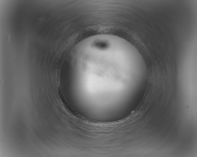X0000055970044200508190715