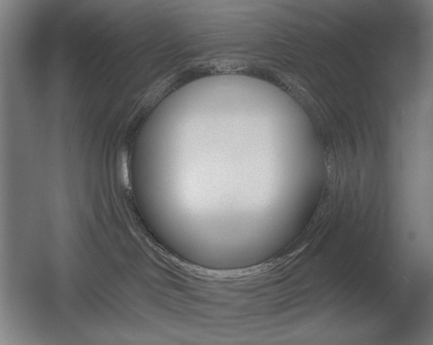 X0000055970046200508190714
