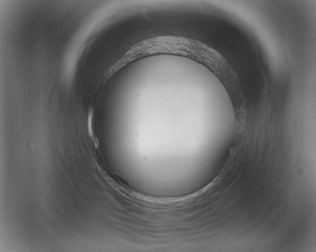 X0000055970047200508190714