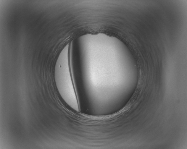 X0000055970048200508190714