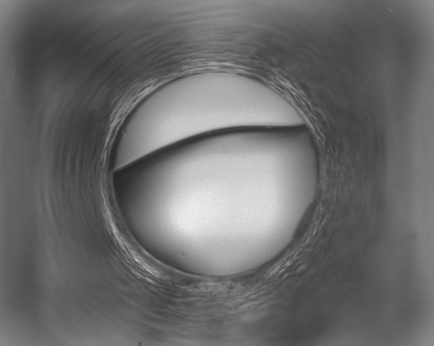 X0000055970049200508190714