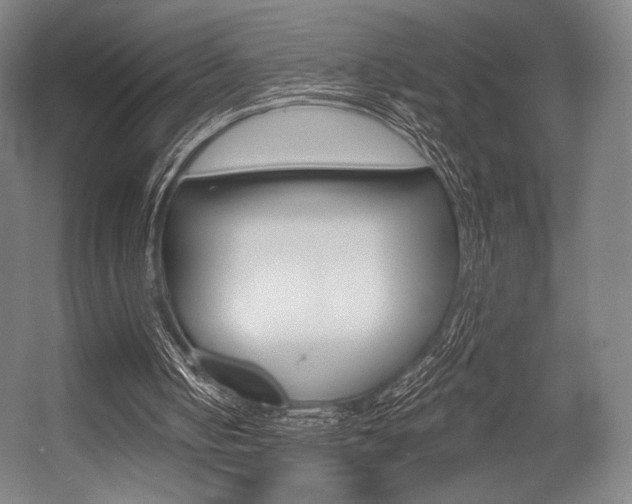 X0000055970050200508190714