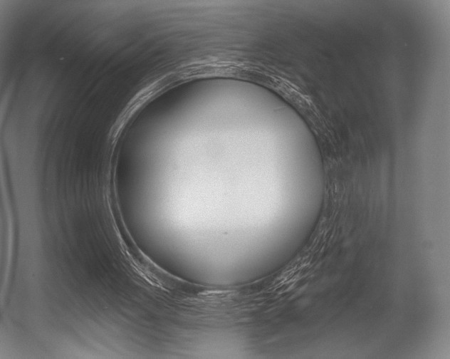 X0000055970051200508190714